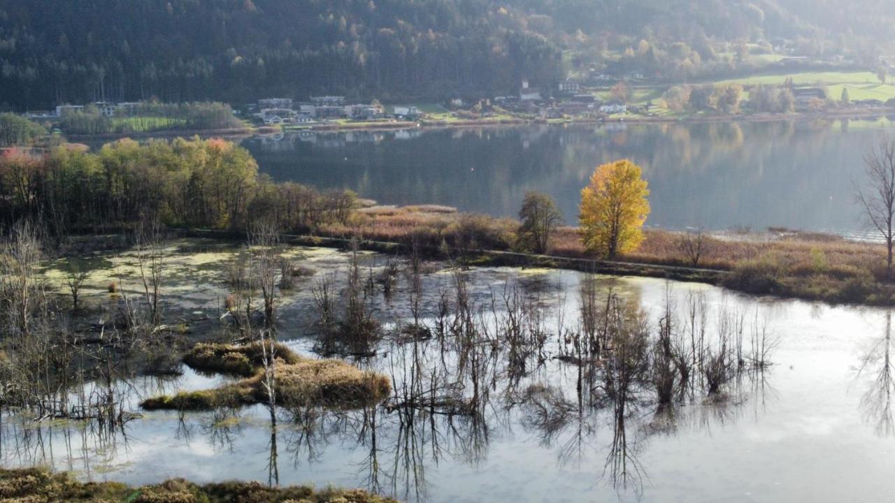 Ferienhaus Natura 2000 Штайндорф-ам-Оссиахер-Зее Экстерьер фото